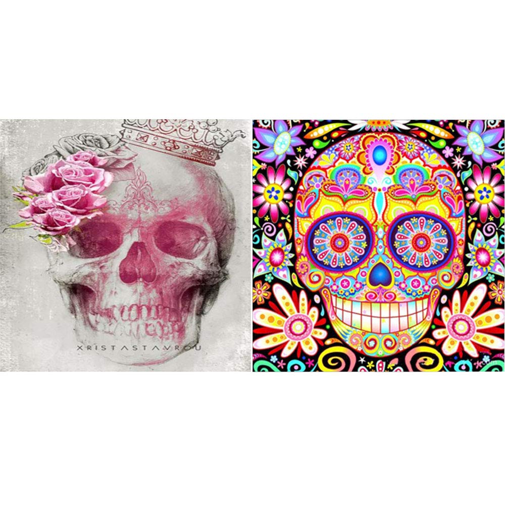 Skull 2 Packs Cross Stitch Stamped Kits Pre Printed Embroidery Starter Patterns Cross Stitching Needlepoint Kit