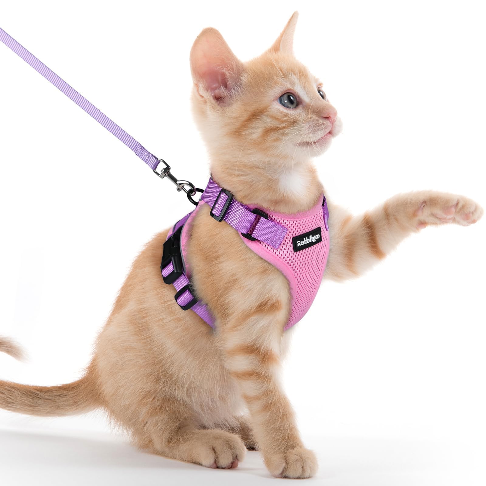 Photo 1 of rabbitgoo Cat Harness and Leash for Walking, Escape Proof Soft Adjustable Vest Harnesses for Cats, Easy Control Breathable Reflective Strips Jacket, Pink & Purple, XXS
