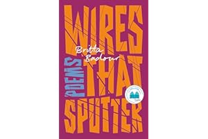 Wires that Sputter: Poems