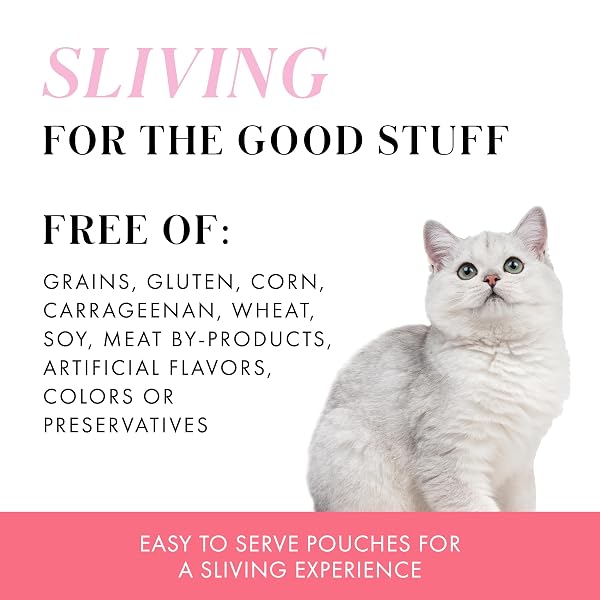 WERUVA PARIS HILTON PAMPER LIKE PARIS WET CAT FOOD, CHICKEN AND LAMB IN GRAVY, 2.47OZ POUCH, PACK OF 12