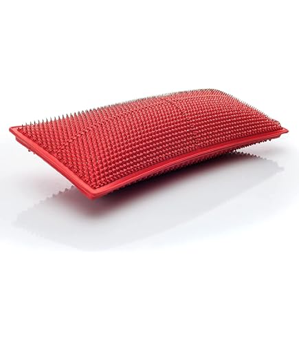 Amazon.com: LYAPKO NEW Big Pad Acupuncture Applicator 6.2 AG 4538
