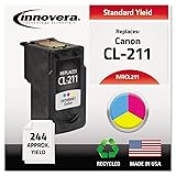 IVRCL211 - Remanufactured 2976B001 CL-211 Ink