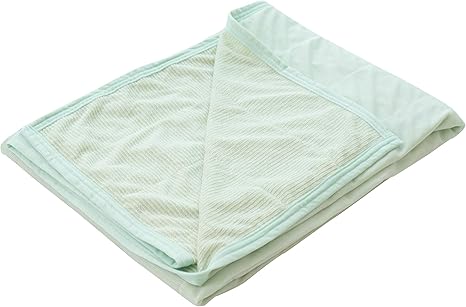 Amazon Co Jp リバーシブル タオルケット シングル グリーン 29 Skcool Gr ホーム キッチン