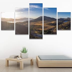 SIGNWIN 5 Panel Canvas Wall Art Modern Art...