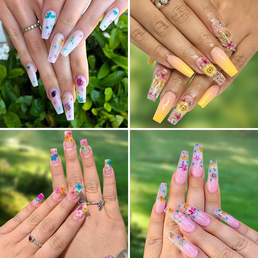 2 Boxes Dried Flowers for Nail Art, KISSBUTY 24 Colors Dry Flowers Mini Real Natural Flowers Nail Art Supplies 3D Applique Nail Decoration Sticker for Tips Manicure Decor (Gypsophila Flowers Leaves): Beauty