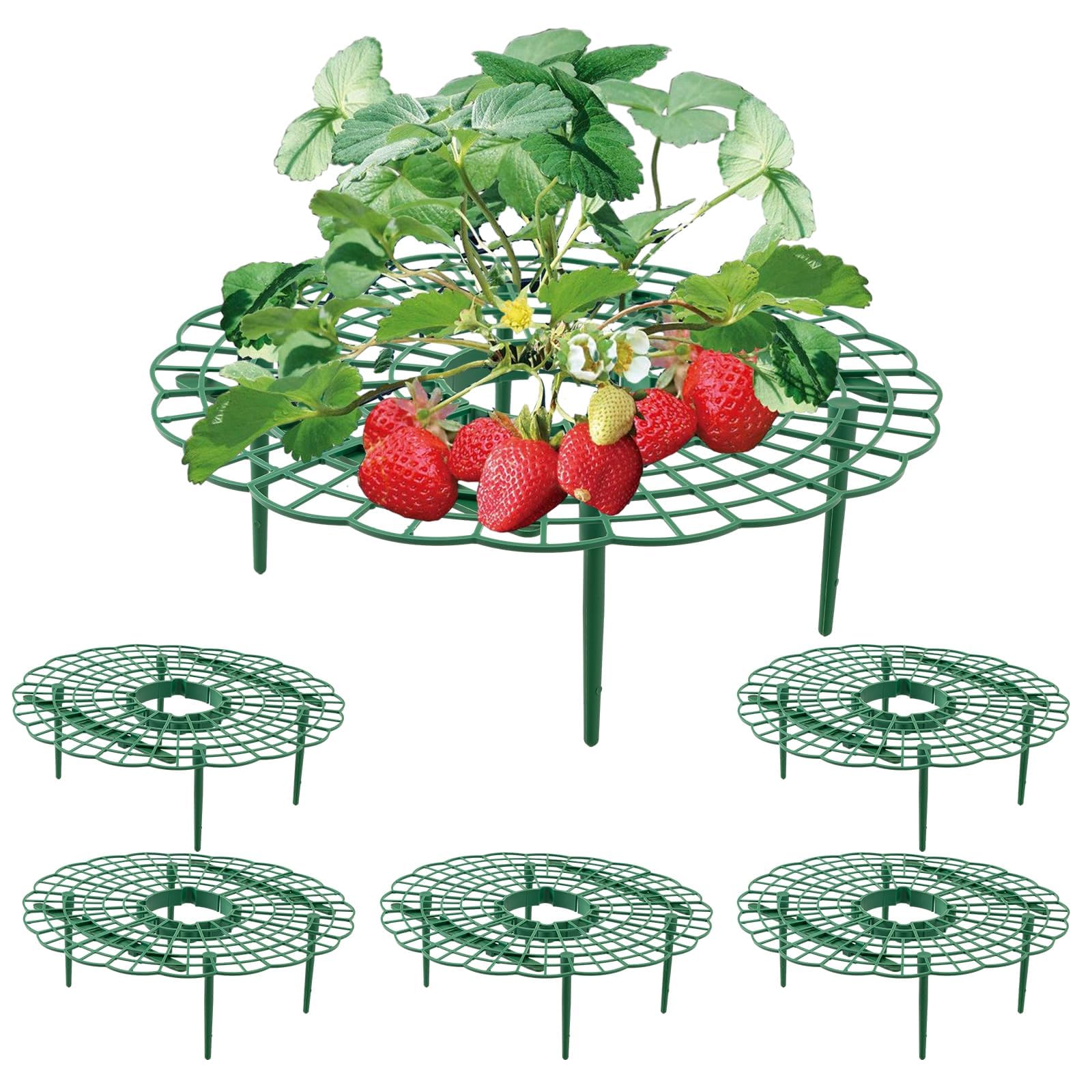 Wuyue Hua 5 Pack Strawberry Growing Stand Strawberry Fruit Protection Support Stand Strawberry Plant Growing Stand