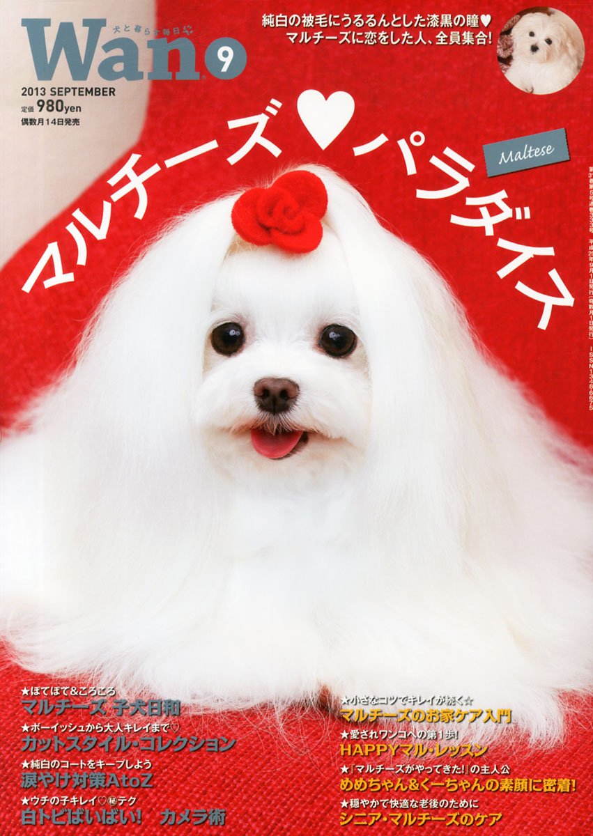 Wan 13 September Amazon Com Books