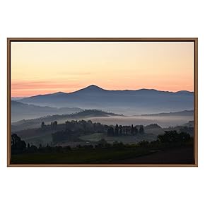 SIGNWIN Framed Canvas Wall Art Sunrise Behind Foggy...
