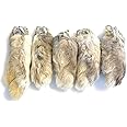 Dangerous Threads Rabbit Rabbits Foot Keychain White/Natural 5 Pcs