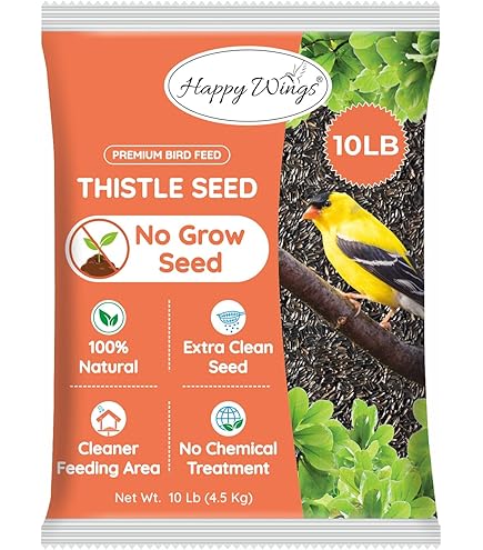 Amazon.com : Wagner's 62052 Nyjer Seed Wild Bird Food, 50-Pound Bag :  Patio, Lawn & Garden