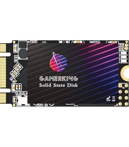 Amazon.com: KINGDATA SSD M.2 2242 64GB Ngff Internal Solid State