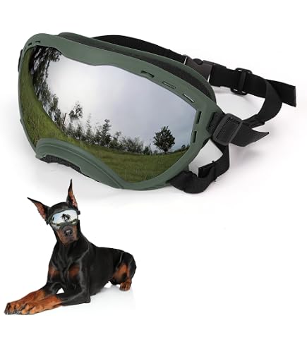 PROGRESS REX/I/FOG REX/S/FOG 2個セット Amazon.com : Rex Specs V2 Dog Goggles with UV Eye protection