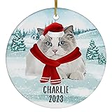 Santa Hat and Scarf Welcome Winter Van Pattern
