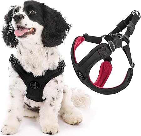 small dog harness amazon