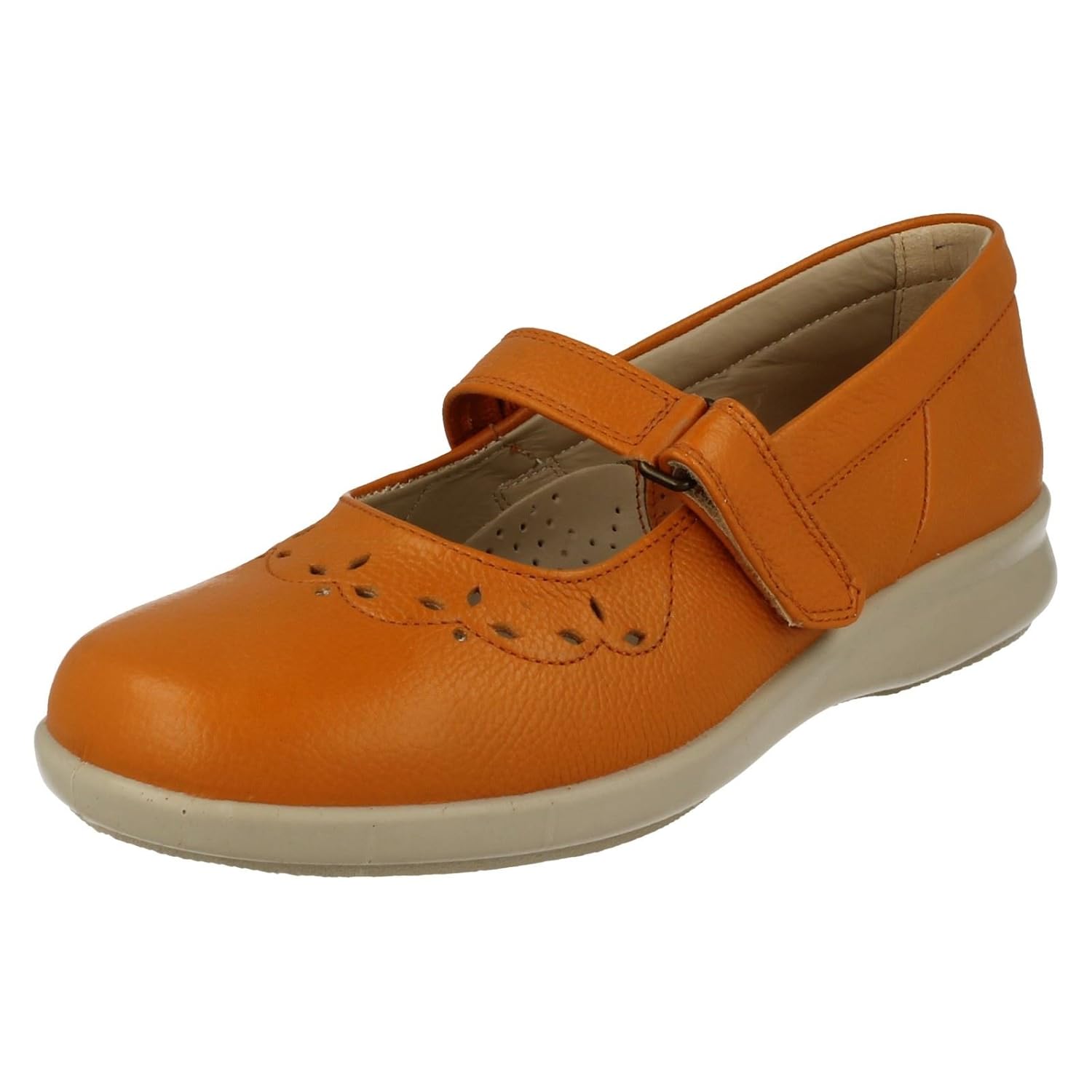 db shoes ladies