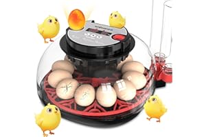Incubators for Hatching Eggs Egg Incubator Automatic with Temperature Control Humidity Display 12 Egg Capacity for Chicken Du