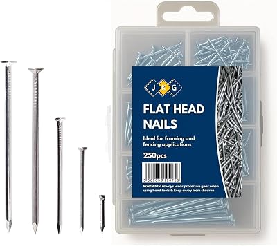 JKG 250 Assorted Nails for Wood Iron Nails Set in Plastic Case
