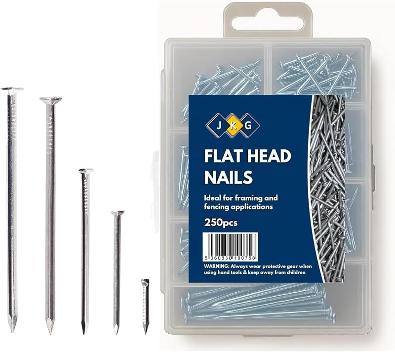 JKG 250 Assorted Nails for Wood Iron Nails Set in Plastic Case