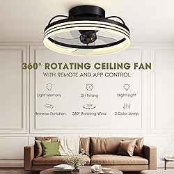LUDOMIDE Ceiling Fans with Lights, 360° Rotating