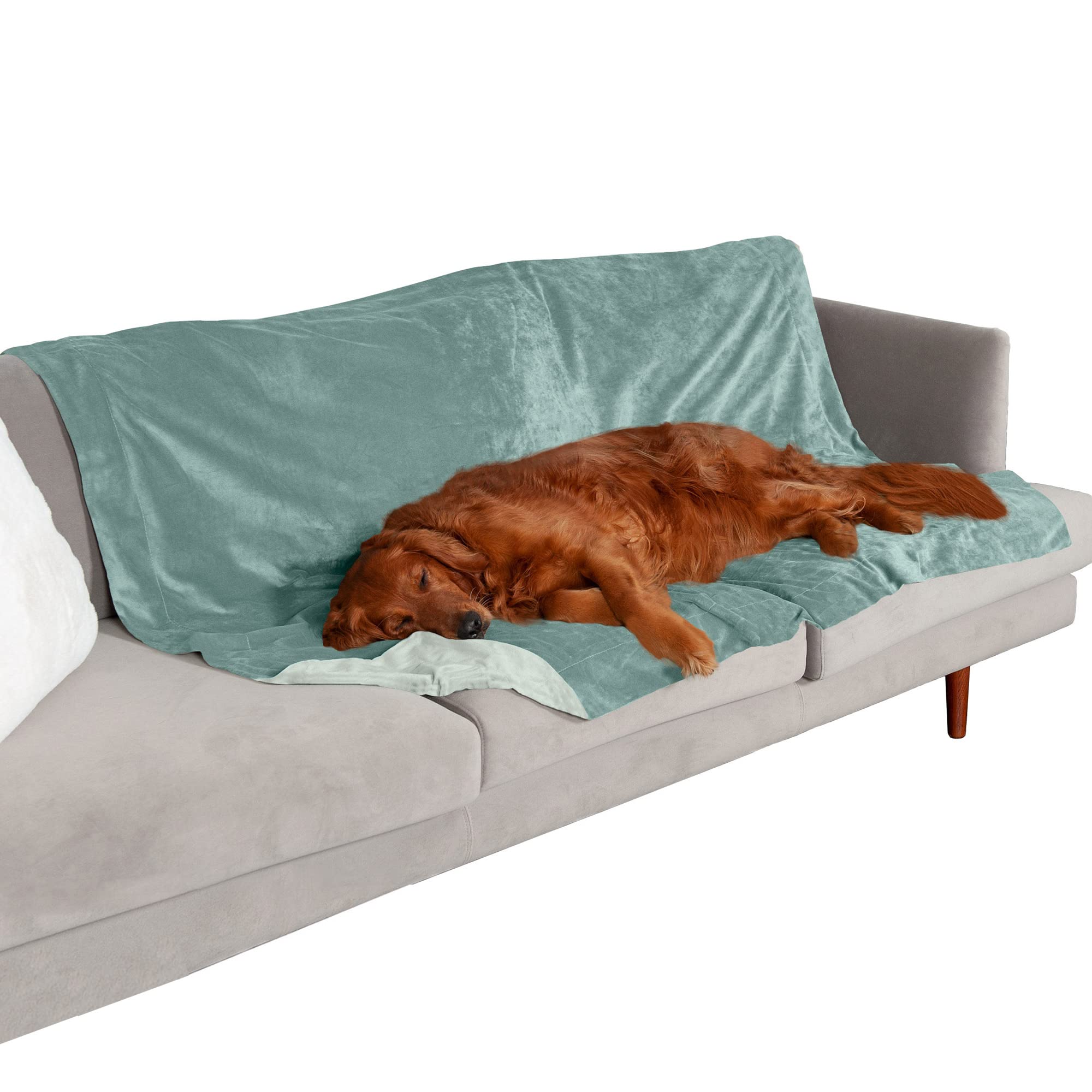Furhaven XL Waterproof Two-Tone Luxe Velvet Dog Blanket, Washable - Celadon Green, Extra Large