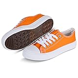 hello basics Canvas Shoes for Women Casual Low Top