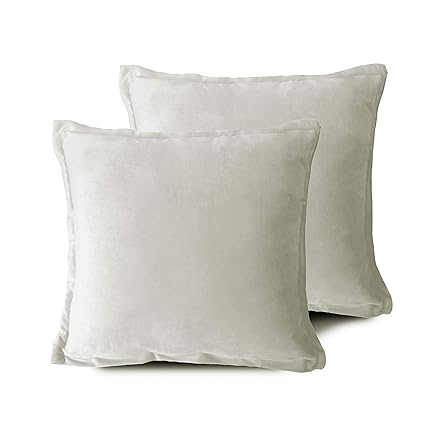 Amazon Com Edow Velvet Throw Pillows Set Of 2 Soft Fluffy Down