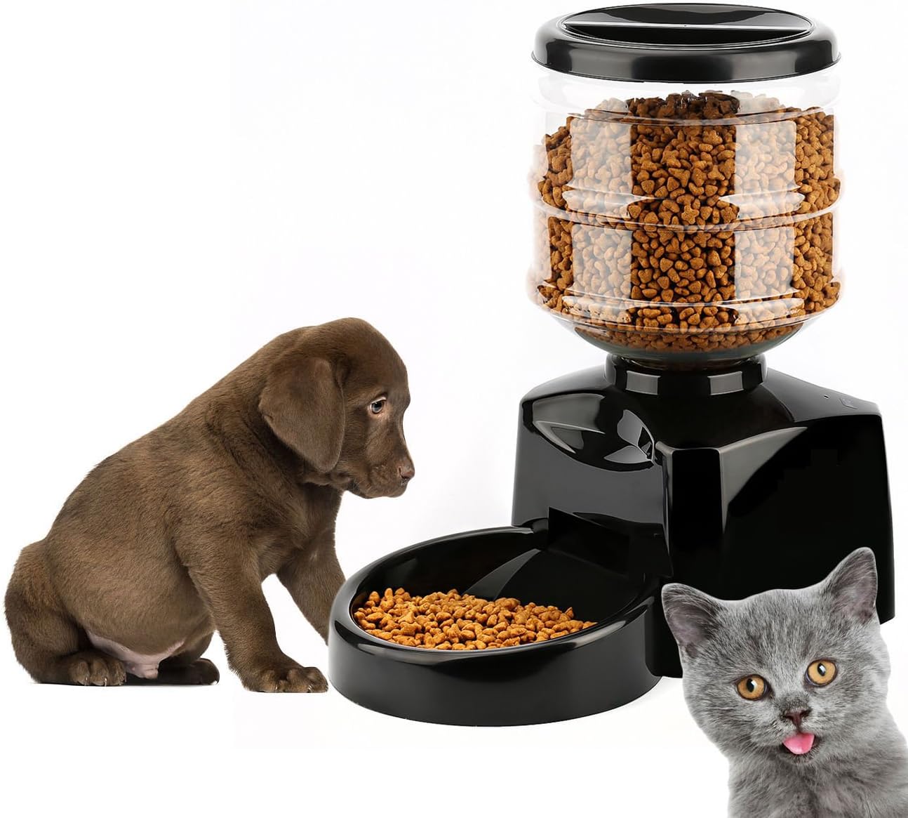 Amazon Com Automatic Pet Feeder Petfly Automatic Feeder Electric