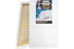 ARTSANI Stretched Canvases for Painting 2 Pack 30x48 Inch, 100% Cotton 12.3 oz Triple Primed Painting Canvas, 3/4" Profile Acid-Free Large Paint Canvas Blank Canvas for Acrylic Pouring Oil Watercolor Painting