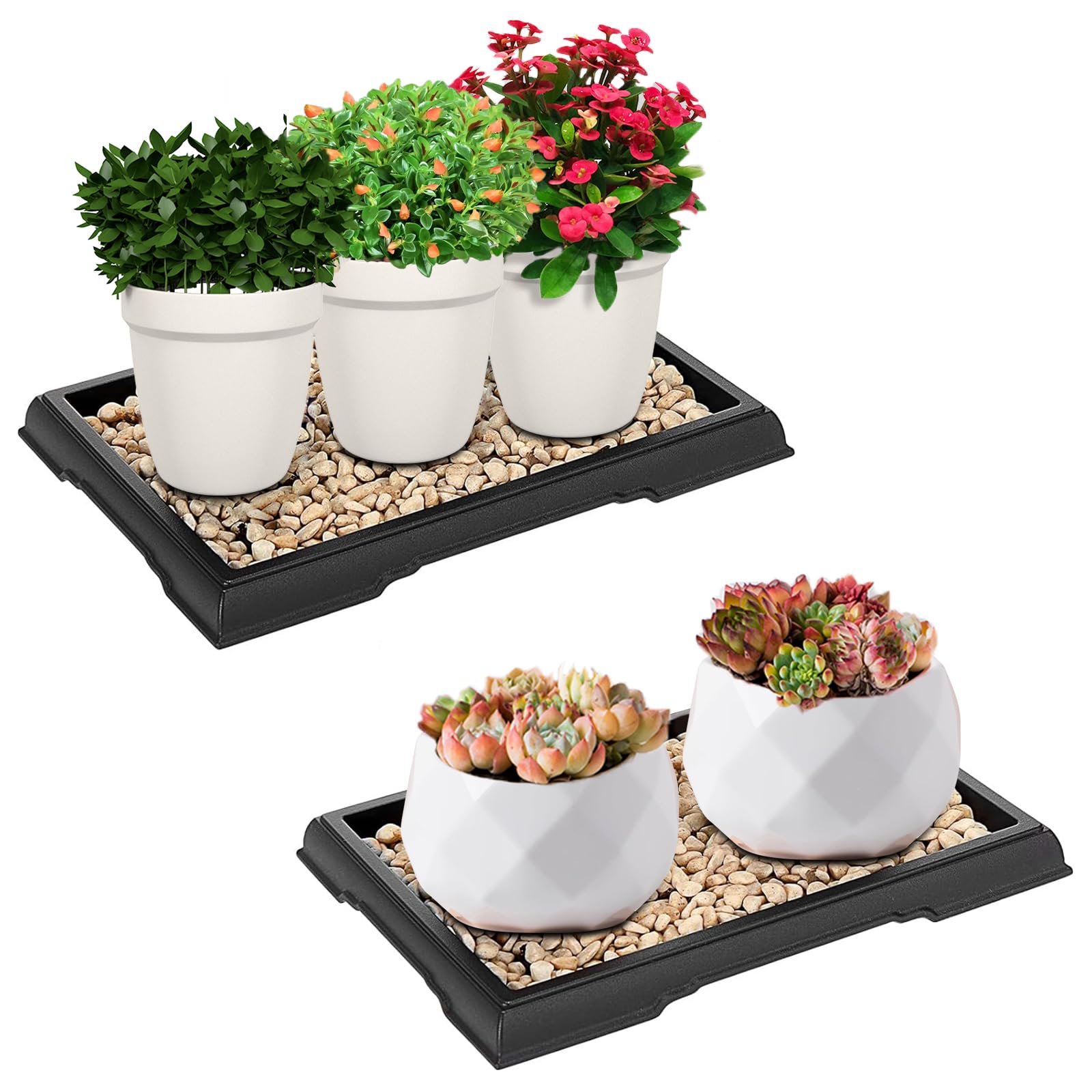 ACTIMED 2 Pack Bonsai Humidity Tray Drip Tray Rectangular Plastic Plant Water Catcher Tray Plant Saucers for Indoors and Outdoors Cactus, Succulents, Bonsai Tree (7.8 x 5.5 inch)