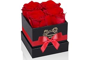 UFOREVER ROSES Preserved Roses in a Box Mothers Day Valentines Day Gifts for Her, Real Roses That Last a Year and More, Eternal Roses for Her, Christmas Day, Birthday, Anniversary Day (Small, Red)