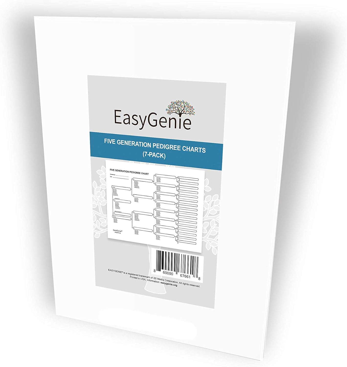 Which Is The Best Easy Genie Fan Family Chart 4 Generations