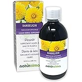 Naturalma Dandelion (Taraxacum officinale) Root and herb Alcohol-Free Tincture - 16.9 fl oz Liquid Extract in Drops - Herbal Supplement - Vegan