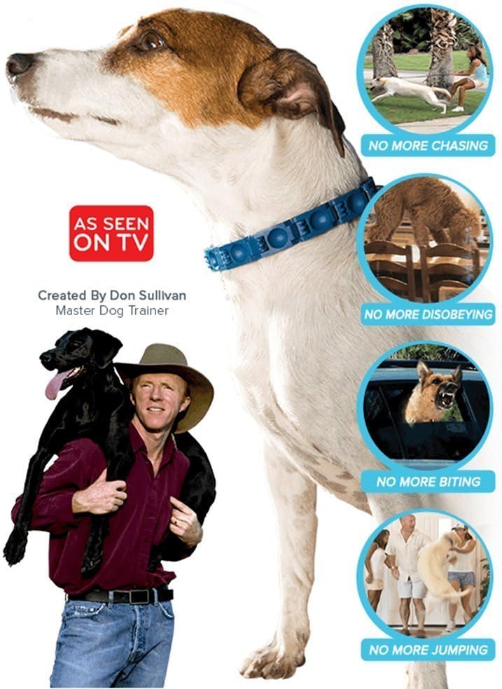 the perfect dog training system