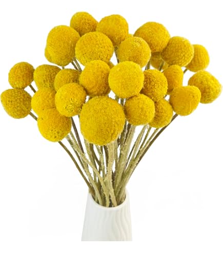 Bouquet Limonium Préservé Naturel - Caspia Séchée Pour Déco Mariage, Maison, Saint-Valentin (environ 55 Cm) - 10