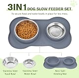 Pecute dog bowls non-slip stainless steel double bowls with silicone mat view 2