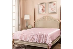 PROMEED 100% Mulberry Silk Duvet Cover Full Size, Both Sides 23 Momme Silk, Grade 6A+ 23mm Silk Quilt Cover with Zipper (Pink, Full)