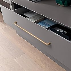 Goo-Ki Champagne Bronze Cabinet Pulls with