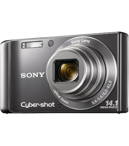 Amazon.com : Sony Cyber-Shot DSC-W560 14.1 MP Digital Still Camera