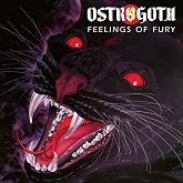 Feelings Of Fury