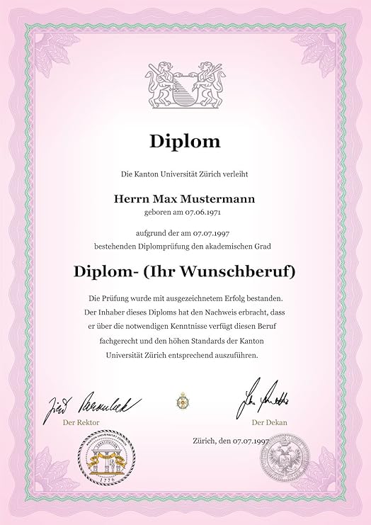 Neu 3 Dipl.-Ing. oec. Diplom-Ingenieur-Ökonom Wirtschaftsingenieur ...