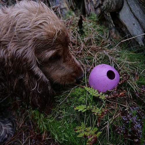 Beco Pets Dog Ball Eco Friendly Natural Rubber Hollow Chew Toy