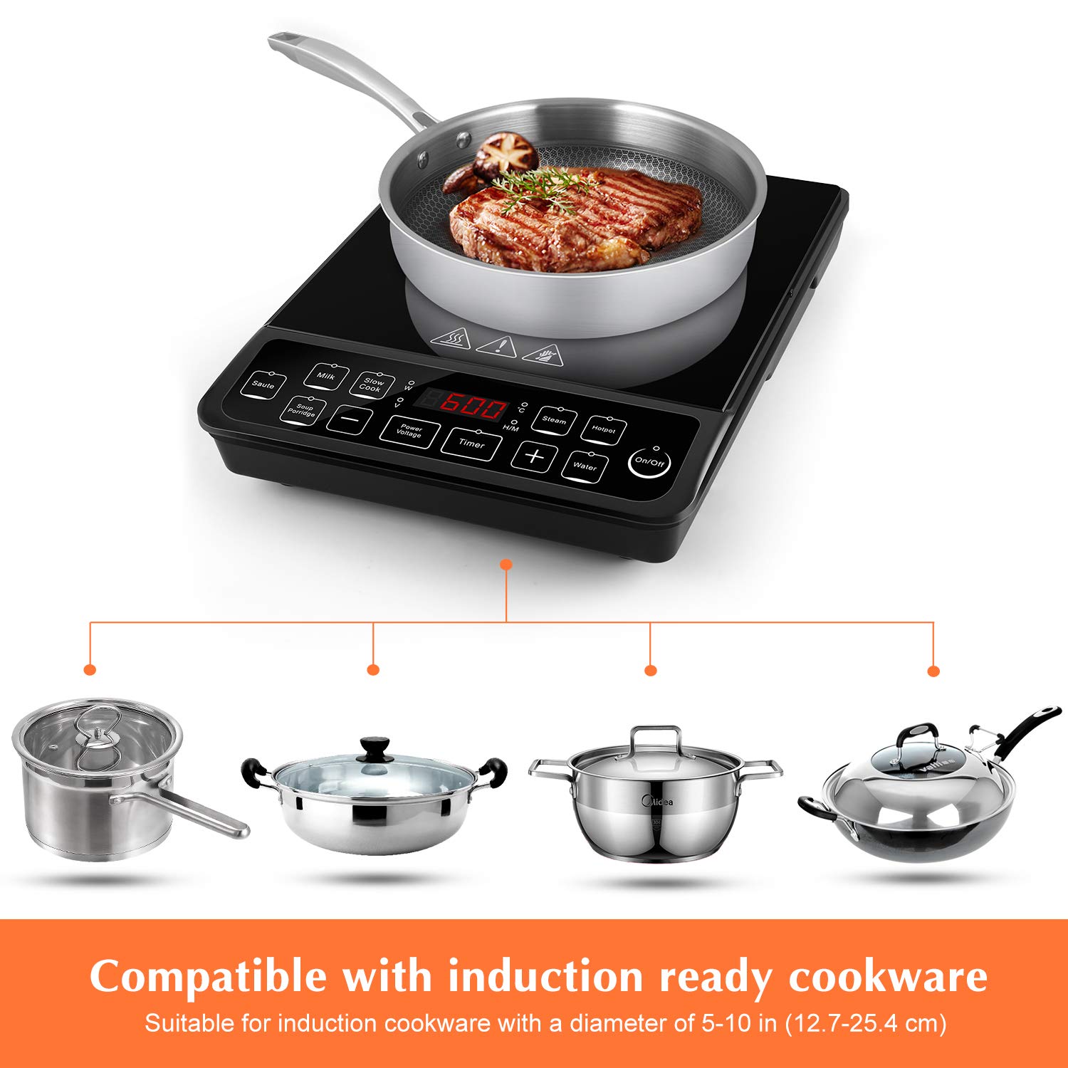 Portable Induction Cooktop 10\