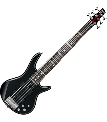Amazon.com: Ibanez SR306EB SR Standard 6-String - Weathered Black