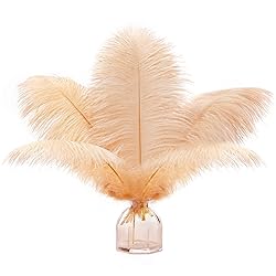 Soarer Champagne Ostrich Feathers for Vase - 15 pcs
