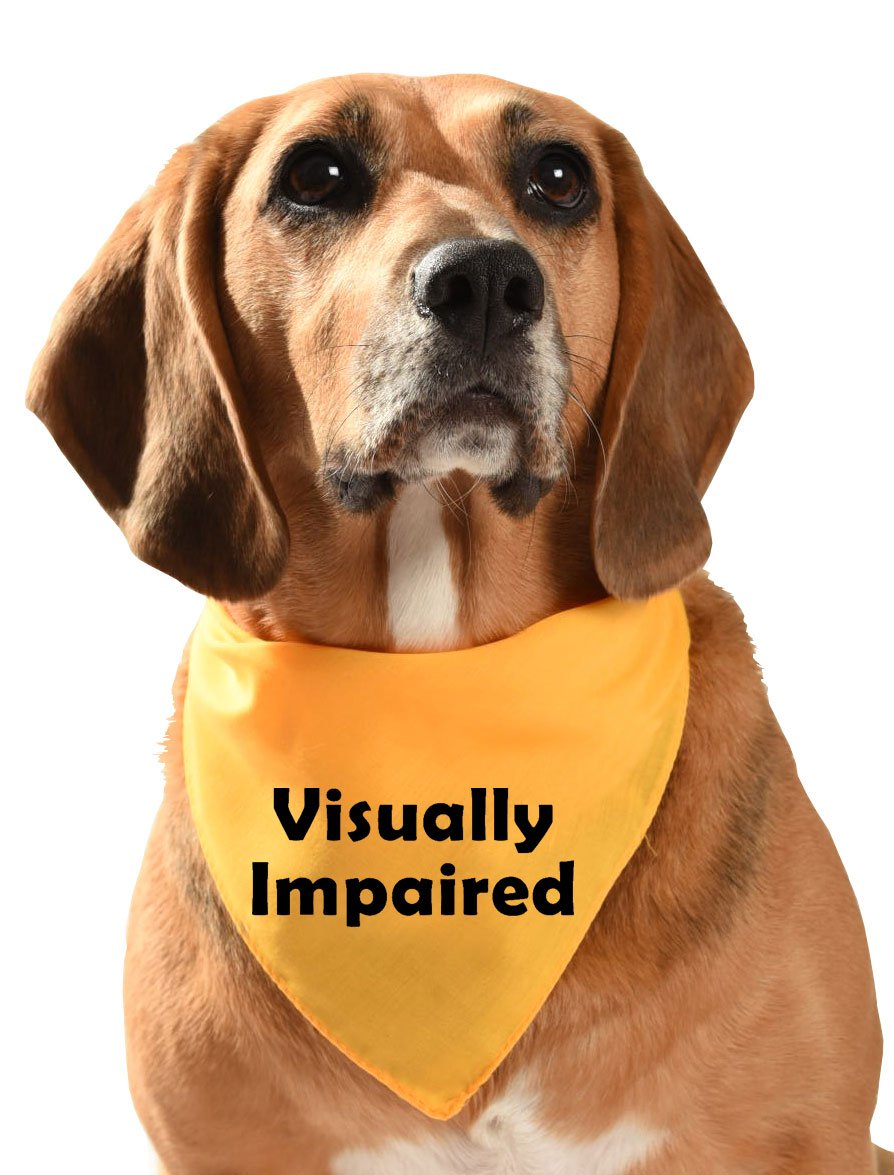 Yellow dog bandana Visually Impaired for sight impaired or blind