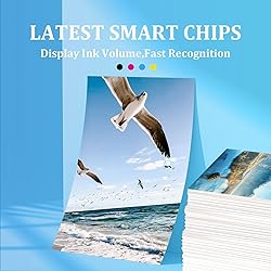 HLPRINT Remanufactured T215 Ink Cartridge