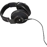 AKG Pro Audio K812 PRO Over-Ear, Open-Back, Flat-Wire, Superior Reference  Headphones : Musical Instruments