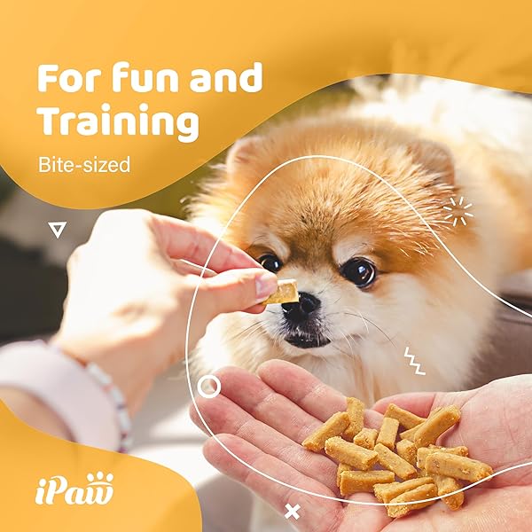 IPAW DOG TREATS FOR PUPPY TRAINING, ALL NATURAL HUMAN GRADE DOG TREAT, HYPOALLERGENIC, EASY TO DIGEST (CHICKEN AND CHEESE BITES)