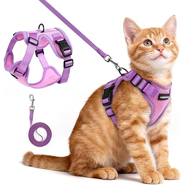 Amazon Best Sellers: Best Cat Harnesses