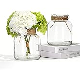 Houmury Glass Vases for Centerpieces Set of 2 Farmhouse Utensils Holder 6 Inch Clear Large Vase with Twine Ties Home Decor for Wedding Living Room Dining Table Office (2)